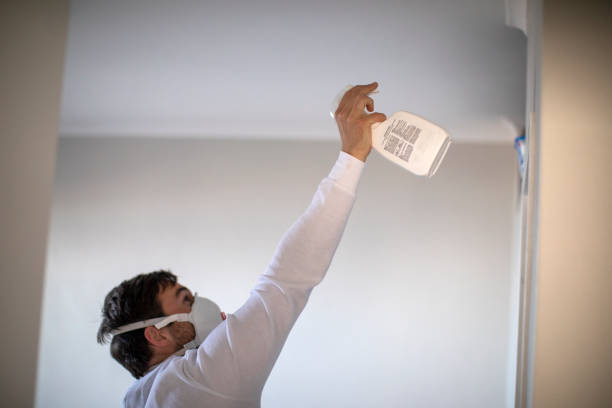Office Mold Removal Services in Dagsboro, DE
