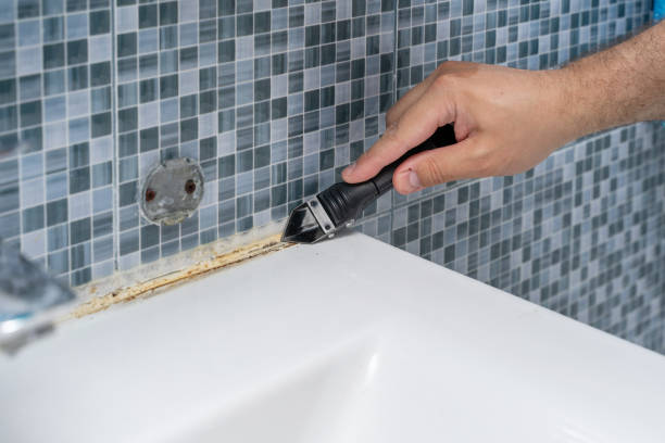 Best Black Mold Removal  in Dagsboro, DE